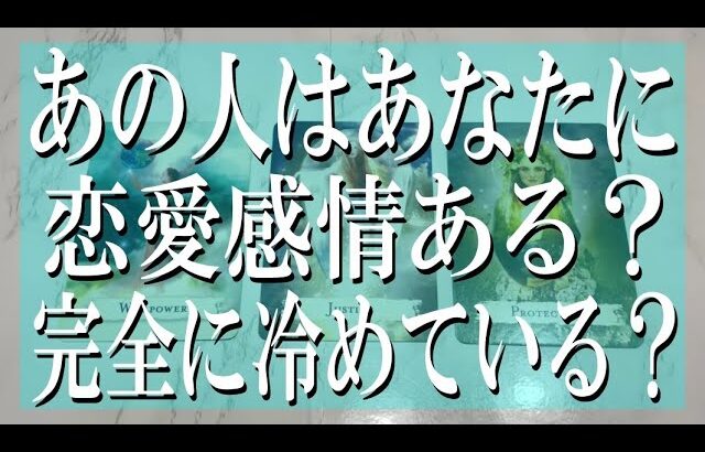 【全く忖度なしの辛口鑑定】あの人はあなたに恋愛感情ある?もう完全に冷めている?