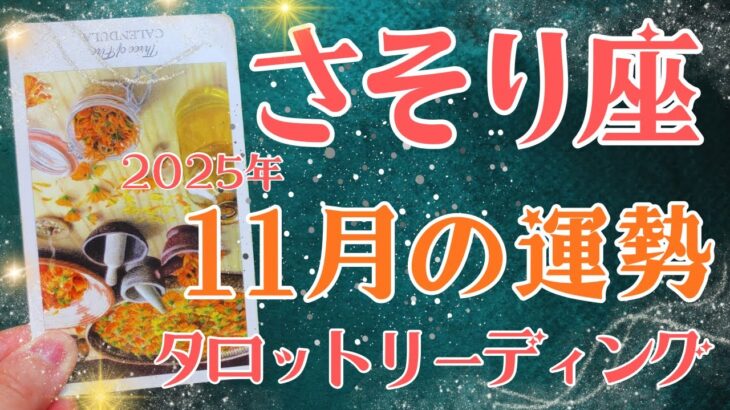 さそり座さん♏️2025年11月の運勢タロットリーディング✨仕事運・金運・対人運も見ました✨