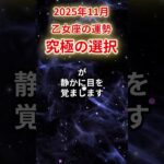 【乙女座】2025年11月おとめ座の運勢「究極の選択」#乙女座 #おとめ座 #乙女座の運勢#金運 #恋愛運 #仕事運 #健康運