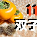 双子座2025年11月の運勢・アドバイス【個人鑑定級】ふたご座さんへ ピンポイントに！かなり深めに いつもより詳しくお伝えしています【12星座タロットリーディング 有料級スピリチュアルライフハック】