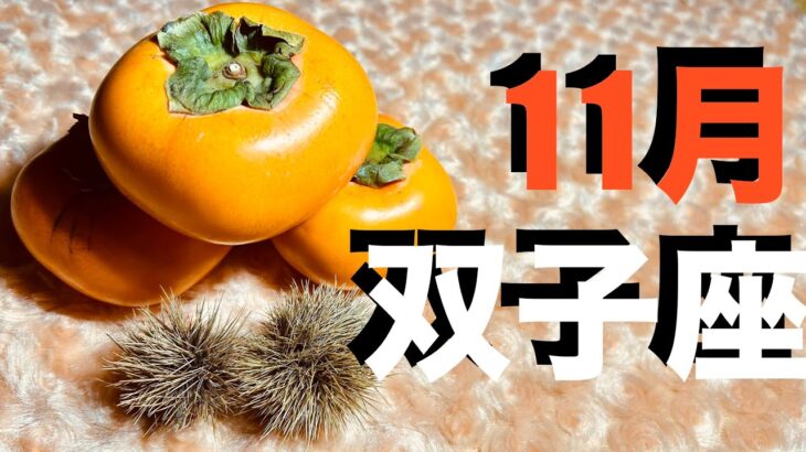 双子座2025年11月の運勢・アドバイス【個人鑑定級】ふたご座さんへ ピンポイントに!かなり深めに いつもより詳しくお伝えしています【12星座タロットリーディング 有料級スピリチュアルライフハック】