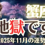 【蟹座】2025年11月「かに座の運勢」