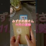 【水瓶座】2025年11月♒️みずがめ座さんの運勢️🔮#水瓶座 #みずがめ座 #占い