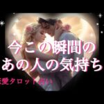 今この瞬間のあの人の気持ち🩷恋愛タロット占い
