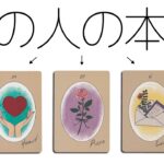 鳥肌注意🥶とある選択肢の方、お相手動きます😭あの人の超本音を全力で占いました🔮見た時がタイミング🪬【タロット・ルノルマン・オラクル・カード・リーディング】