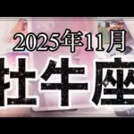 【牡牛座♉️11月運勢】頑張りすぎないで💐あなたはもっと受け取っていい✨