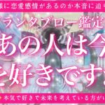 【恋愛💖】あの人今、私のことが好きですか？恋愛感情はありますか？🔮✨的中率が高いと言われるルノルマンカードのグランタブローでリーディングしてゆきます🦋✨