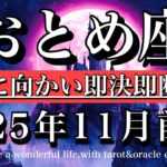 おとめ座♍️11月前半全体運タロット★ 理想に向かって即決即断する！Virgo tarot reading
