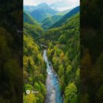 05「戊辰」六十干支絵10秒動画 #算命学 #陰陽五行 #干支 #占い