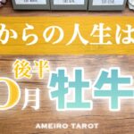 牡牛座♉️10月後半✨これからの人生は晴天‼️最高に心満たされる時へ🌈✨