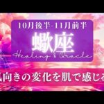 【蠍座】10月後半-11月前半／これまでと違う！を体感！理想がぐんぐん近づいてる✨🕊🌕【タロット】【運勢】【占い】【さそり座】