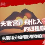 【飛星宮位互化詳解】夫妻宮飛化入福德宮｜婚姻情緣旺我福氣，福份運勢捎來金錢｜紫微斗數【飛星研究院 ep.74】《量紫先生》