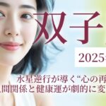 2025年11月の双子座（ふたご座）運勢　水星逆行が導く“心の再起動”✨人間関係と健康運が劇的に変わる月！