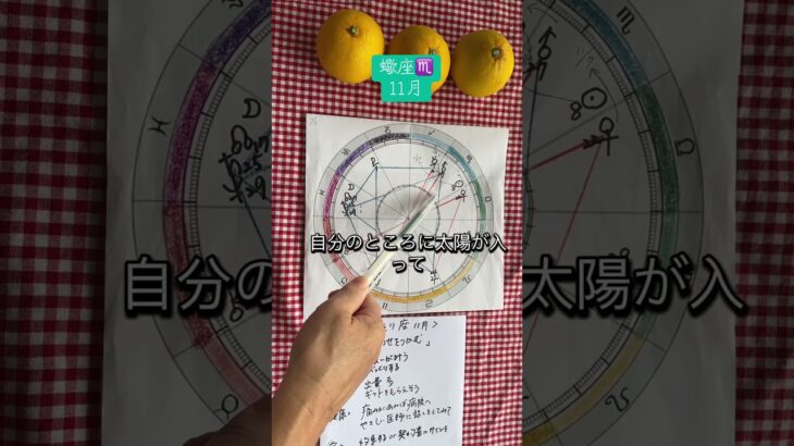 #蠍座 #占い #占星術 #11月の運勢 #ホロスコープ#タロット占い