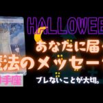 【射手座】魔法のメッセージ🎃🎉▼タロットカード&オラクルカード&ルノルマンカード占い
