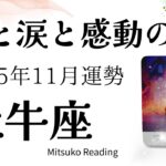 牡牛座11月は嬉しい神展開🌈✨愛と感動に包まれ願う未来へ扉が開く♉️2025年11月運勢仕事恋愛人間関係【癒しのタロット個人鑑定級】