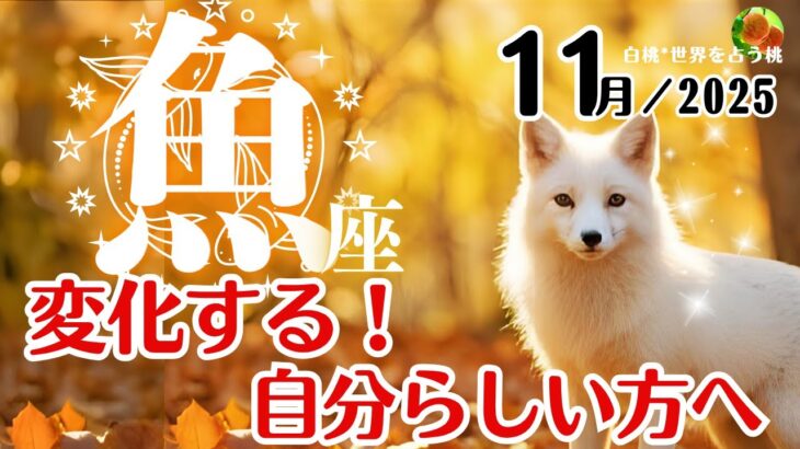 魚座♓2025年11月☆変化する！自分らしい方へ