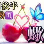 【蠍座】10月後半の運勢❤️大大吉！！こりゃ、すごい😳大予祝🎊㊗️🍻夢とロマンスの大復活❤️‍🔥ハッピーサプライズ🎁マンスリー　2025年　タロット占い