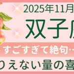 【双子座】11月前半🌙今まで足りなかった喜びが押し寄せる！豊かさのサポート！大切な役割がある✨オラクルカードリーディング