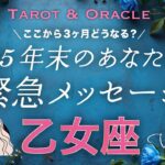 【乙女座♍️】最強カード連発！大好転のエネルギー🙌✨年末どうなってる？未来のあなたがどうしても伝えたいこと💌タロット＆オラクル／Tarot&Oracle card reading／Virgo