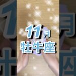 11月牡牛座運勢 #shorts #牡牛座 #星座占い