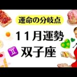双子座やばい。運命の分岐点。世界が変わるよ。いざ祝福の章へ❗️2025年11月全体運勢♊️仕事恋愛不安解消評価や印象【個人鑑定級タロットヒーリング】