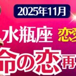 【恋愛運】水瓶座：2025年11月みずがめ座は「運命の恋、再起動」