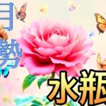 【水瓶座】11月の運勢❤️大吉！！こりゃ、すごい😳水瓶座🌕上弦の月の恩恵🙌🙌スーパー豊かな収穫祭💐大吉報！大チャンス！マンスリー　2025年　タロット占い