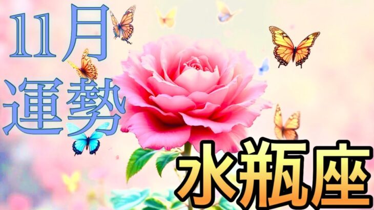 【水瓶座】11月の運勢❤️大吉!!こりゃ、すごい😳水瓶座🌕上弦の月の恩恵🙌🙌スーパー豊かな収穫祭💐大吉報!大チャンス!マンスリー 2025年 タロット占い