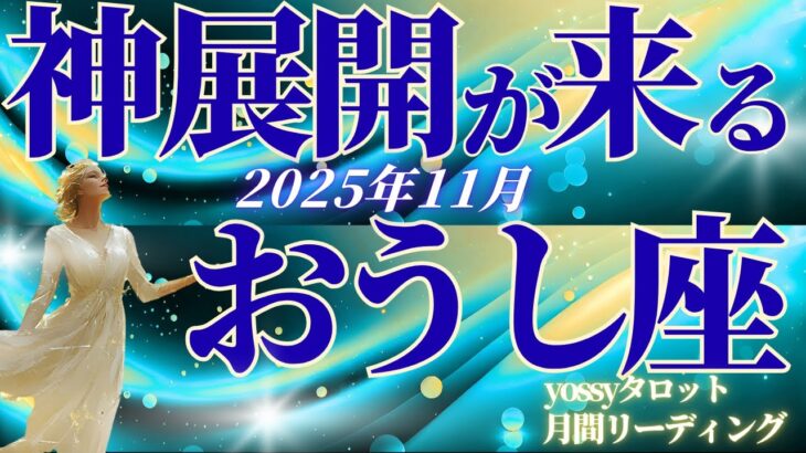 11月の運勢🧚おうし座　ちょっと、これ…夢のような神展開！！いよいよ本領発揮！新しい能力の開花の時(お金・仕事・人間関係)