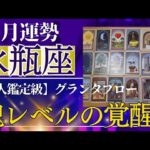 【水瓶座♒️11月運勢】うわっすごい！個人鑑定級のグランタブローリーディング✨ついに来る大チャンス！あなた本来の進む道に奇跡が！（仕事運　金運）タロット＆オラクル＆ルノルマンカード