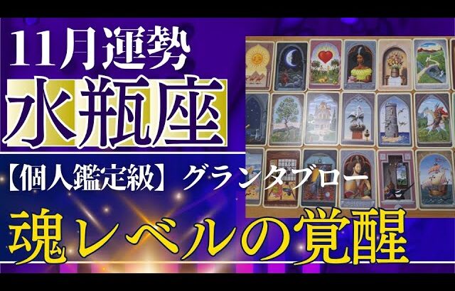 【水瓶座♒️11月運勢】うわっすごい!個人鑑定級のグランタブローリーディング✨ついに来る大チャンス!あなた本来の進む道に奇跡が!(仕事運 金運)タロット&オラクル&ルノルマンカード