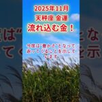【天秤座】2025年11月てんびん座金運占い #天秤座 #てんびん座 #shorts