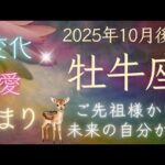 【牡牛座】10月後半🍁５枚引き🍁あなたを助けたいスピリットガイドからメッセージ！ オラクルカードリーディング
