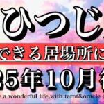 おひつじ座♈️10月後半タロット⭐︎安心できる居場所に到着！Aries tarot reading
