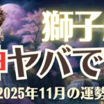 【獅子座】2025年11月「しし座の運勢」