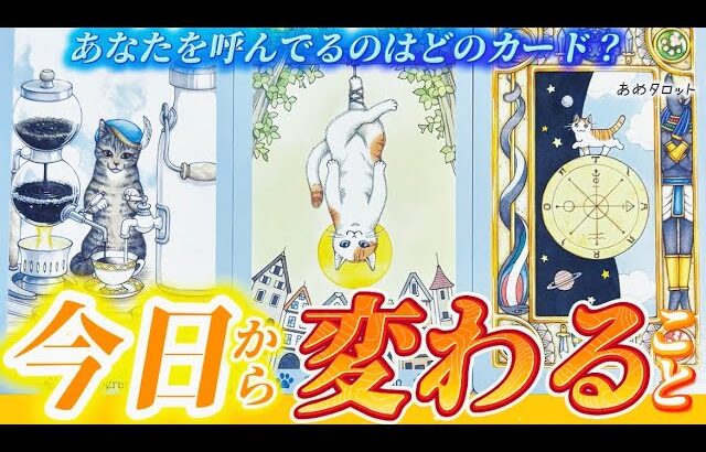 【本当に変わる✨】ガラリと変わります❗️運命を受け入れて❗️あなたとあなたの周りで今日を境に変化することがあります。個人鑑定級✨タロット占い