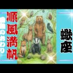 【10月後半♏️】蠍座さんの運勢🦋順風満帆!!困難のおわり。満を持して動きだす✨