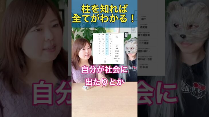 【3分でわかる】世界一簡単な四柱推命講座💫ここを見れば全てがわかります