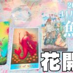 魚座♓️11月⭐️大丈夫🙆光が待ってます✨今の頑張りは無駄にならない❗️