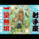 【10月後半♐️】射手座さんの運勢🦋一望無垠✨立ち止まったっていいんだよ。