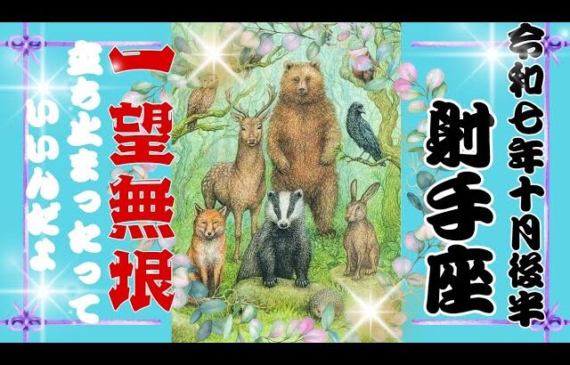 【10月後半♐️】射手座さんの運勢🦋一望無垠✨立ち止まったっていいんだよ。