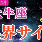 【牡牛座】2025年11月おうし座健康運「限界サイン」