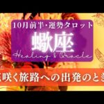 【蠍座】10月前半／実った果実をひとつひとつ収穫していく！恩恵がある時✨🕊🌕【タロット】【運勢】【占い】【さそり座】