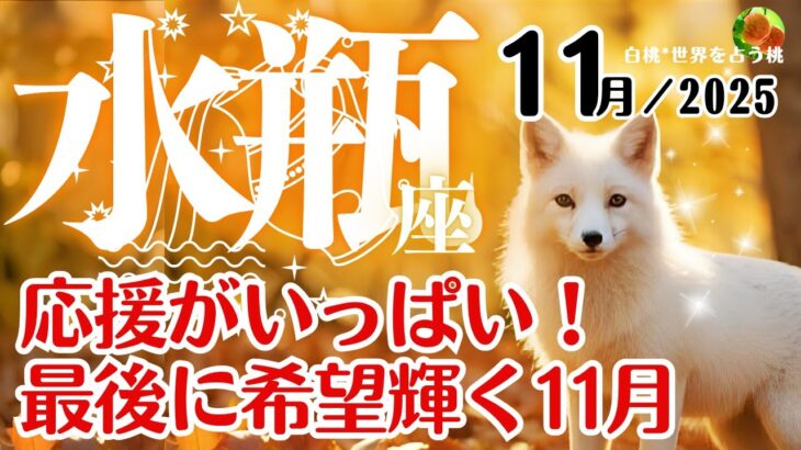 水瓶座♒️2025年11月☆応援がいっぱい！最後に希望輝く11月