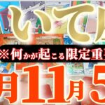 射手座さんへ11月前半この日が凄い👑【断然！神回だ〜😲祝福まみれ〜】✡️キャラ別鑑定付き✡️　