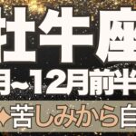 【おうし座】11月全体～12月前半運勢　牡牛座さん見てね、涙の完結😢苦しみが終わるとき🌈重い鎖を解き放ち、自由な世界へ🌈もうきっと大丈夫💎✨【牡牛座 １１月】【牡牛座 １２月】タロットリーディング