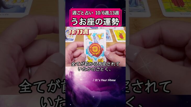 魚座♓️10月前半【1分凝縮版】→フル動画はこの上、▶︎のリンクから🧚 #タロット占い #運勢 #星座 #恋愛 #仕事 #10月 #占い #2025 #魚座 #うお座 #pisces