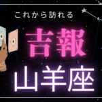 【山羊座♑️】間もなく訪れる吉報🕊️星座占いにはおみくじはありませんのでご了承下さい🙇‍♀️