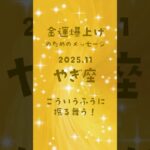 #やぎ座 #山羊座 #金運